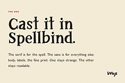 Spellbind — A Witchy Font Duo, a Sans Serif Font by Mix Fonts (Thumbnail 6 of 15)
