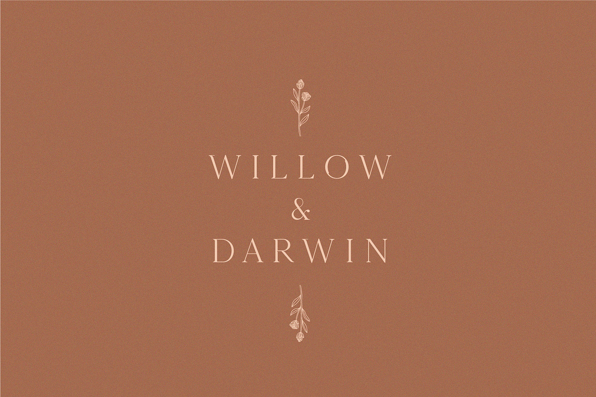 Kinfolk Font | FontCypress