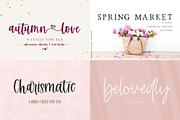 The Logo and Branding Font Bundle, a Script Font by Beck McCormick (Thumbnail 2 of 10)
