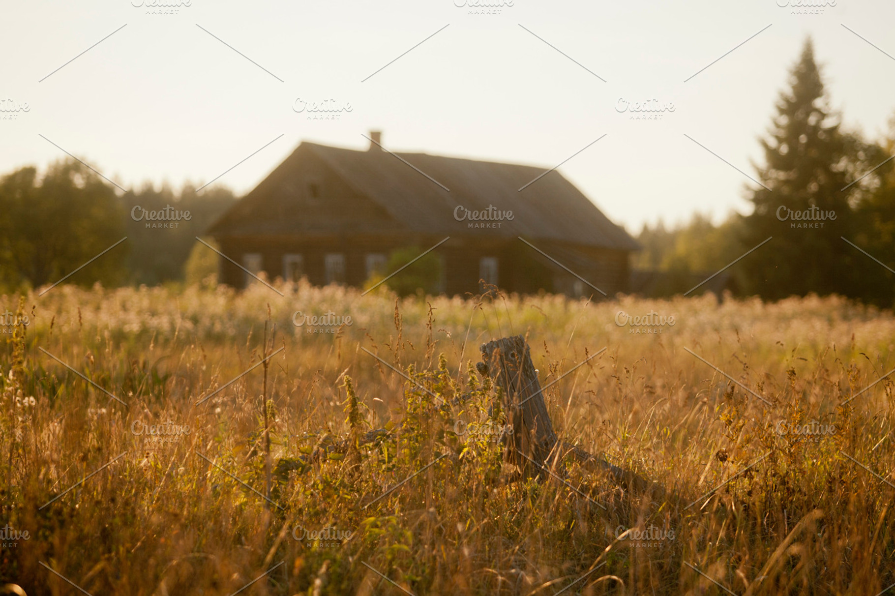 Wooden house featuring house, village, and hut