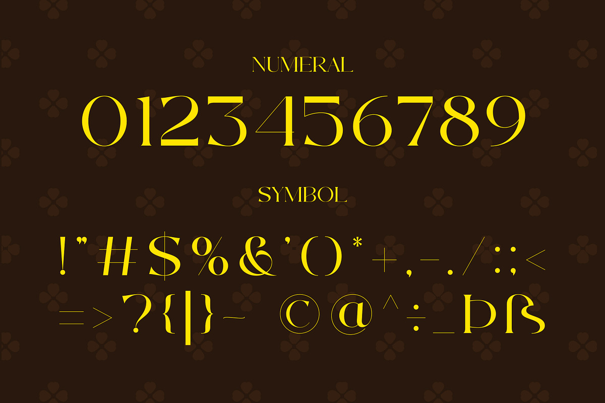 Rakliton - Classic Serif Font, a Serif Font by Muflieart (Photo 6 of 12)