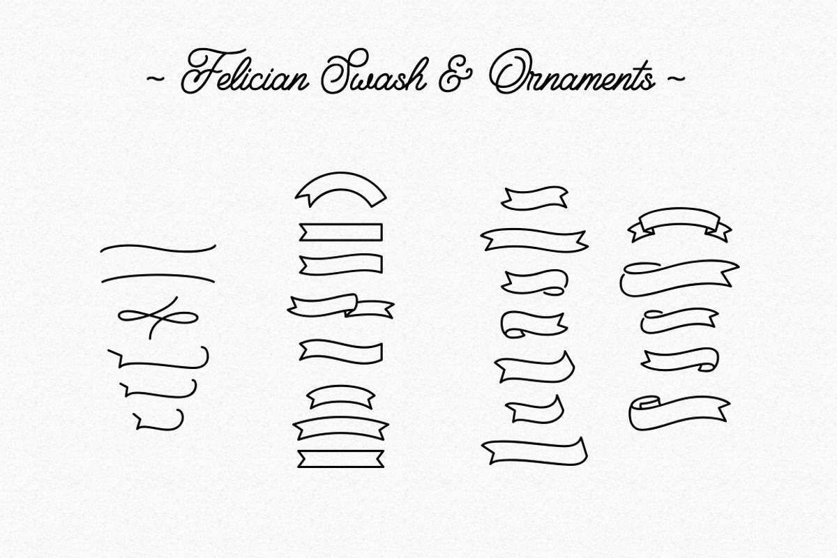 Felician Monoline Script, a Script Font by Weape Studio (Photo 9 of 9)