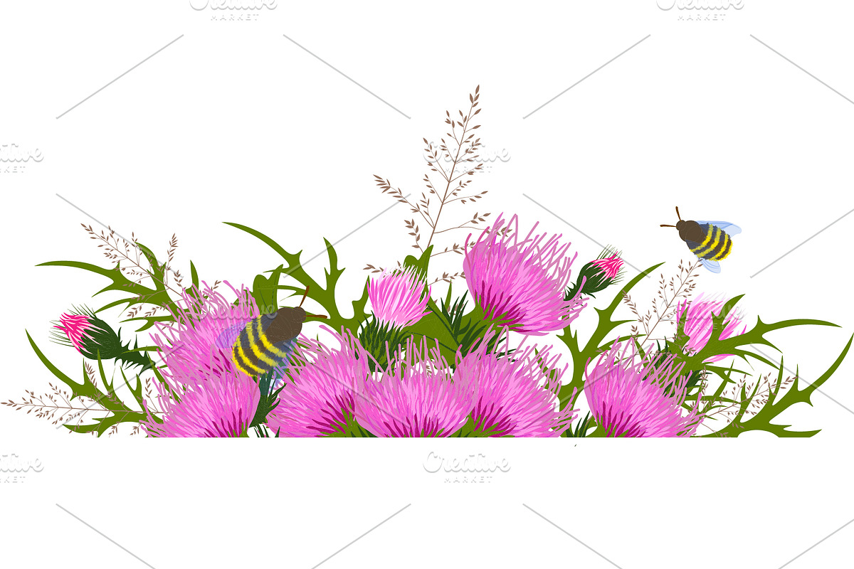 Thistle - meadow flower, an Illustration by MariiaVasilenko (Photo 6 of 6)