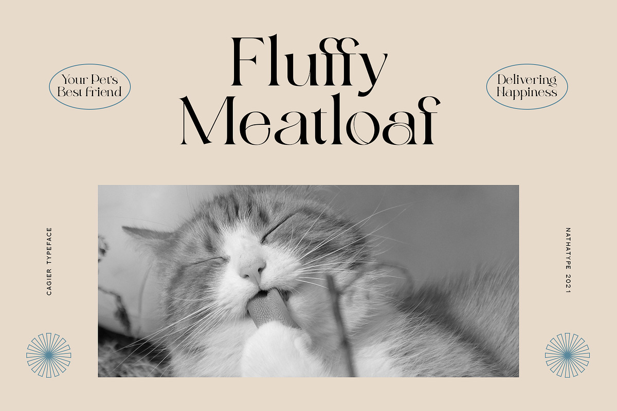 Cagier, a Serif Font by Nathatype (Photo 7 of 10)