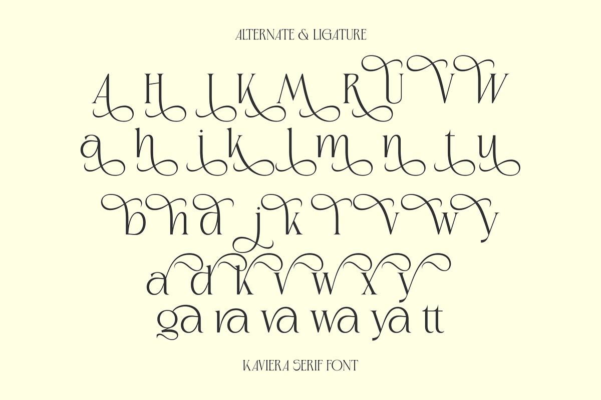 Kaviera Modern Stylish Serif Font, a Serif Font by Heinzel Std (Photo 15 of 17)