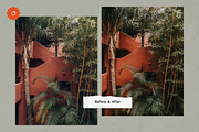 8 Jardin Lightroom Presets, a Preset Add-On by SHOOM HOUSE (Thumbnail 15 of 15)