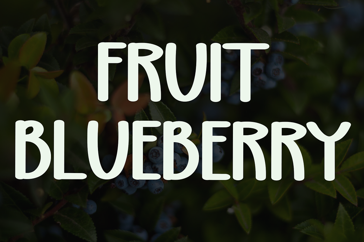 Blueberry, a Handwritten Font by FreshTypeINK (Photo 6 of 8)
