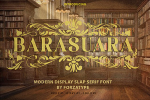 Barasuara Font Series | Forzatype