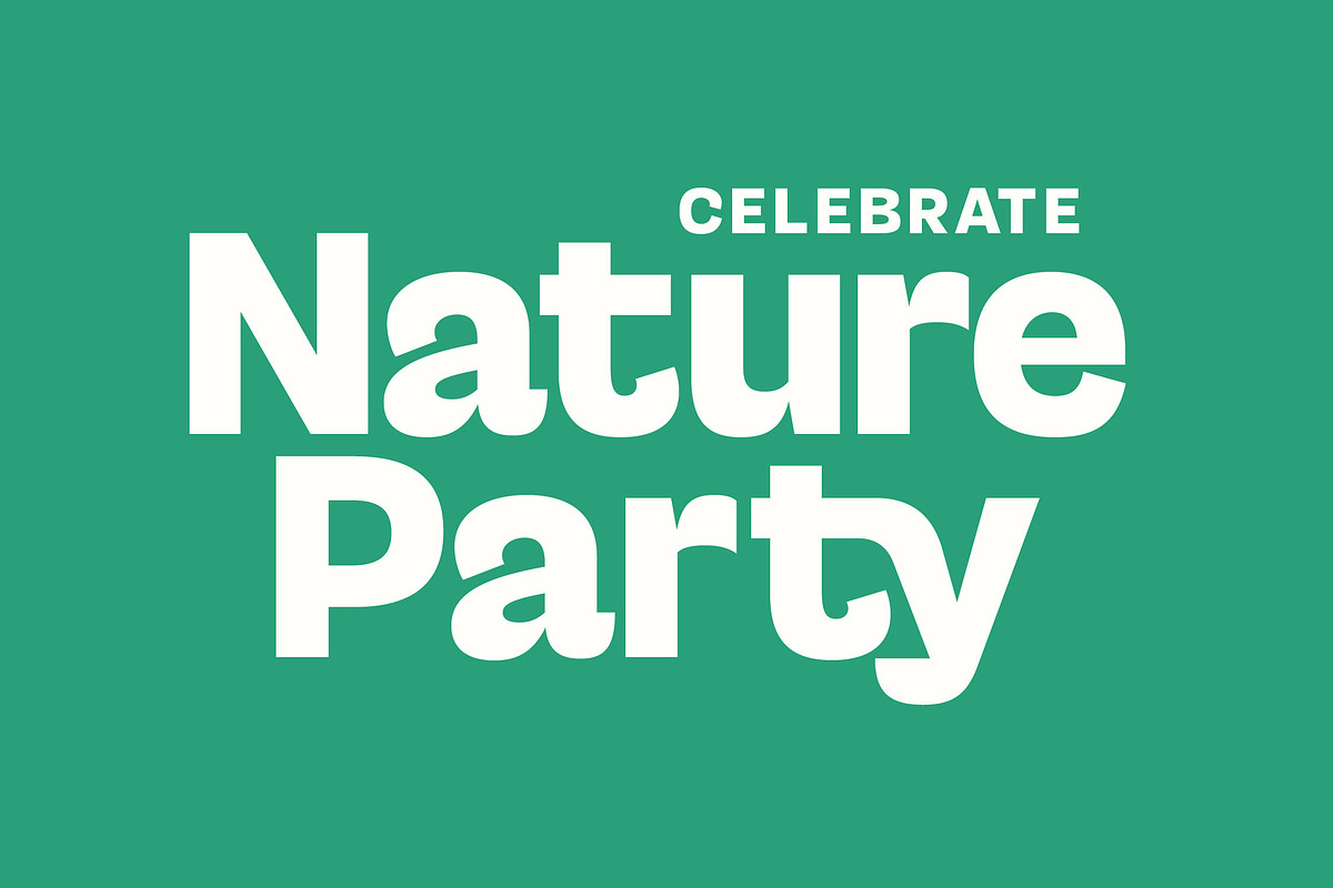 Gesty Ratio Modern Display Font, a Sans Serif Font by timelesstype.co (Photo 5 of 20)
