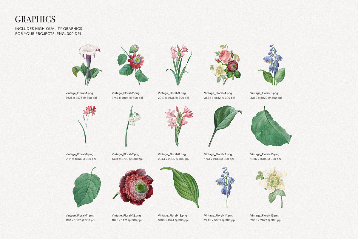 Vintage Elegant Floral Pattern, a Pattern Graphic by likorbut (Photo 6 of 8)