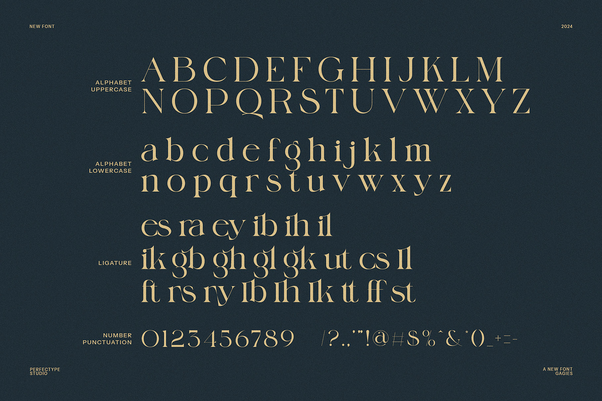 Gagies Modern Serif Font, a Serif Font by Perfectype (Photo 8 of 8)