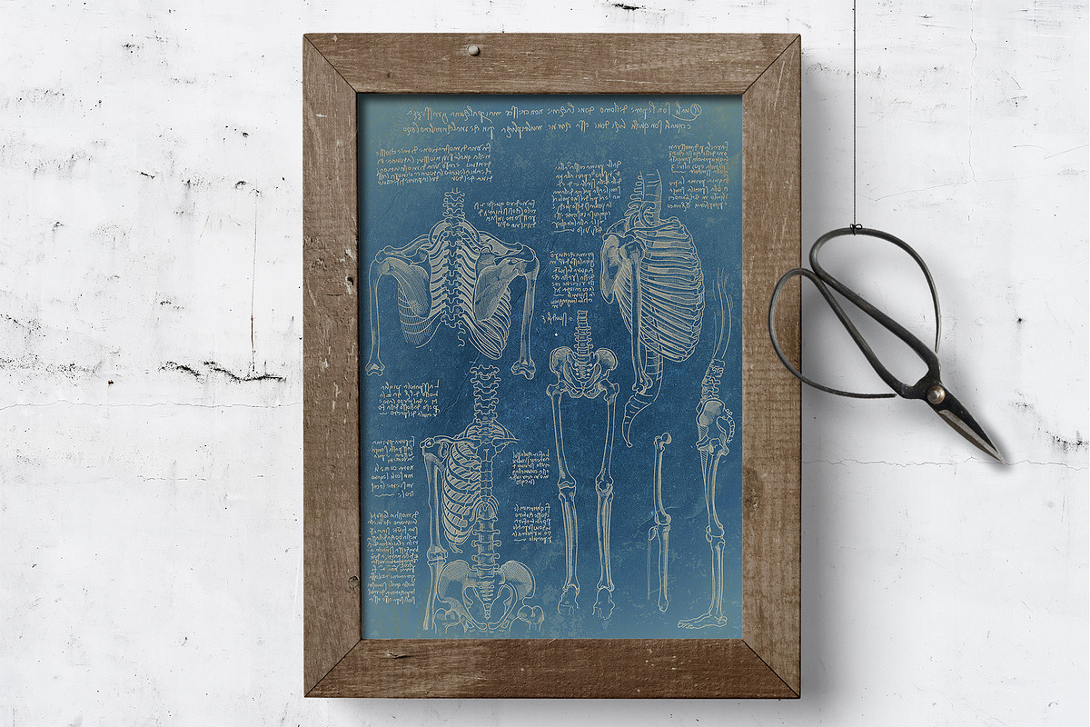 DA VINCI RENAISSANCE SKETCHES, an Object Illustration by Luna Dreams (Photo 14 of 16)