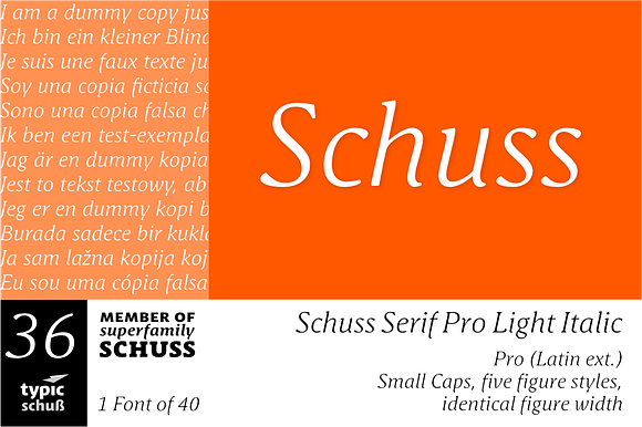 SchussSerifProLigIta No.36 (1 Font) preview 6