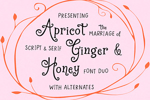 Apricot Ginger Honey Whimsy Font Duo, a Serif Font by Kaya Fonts