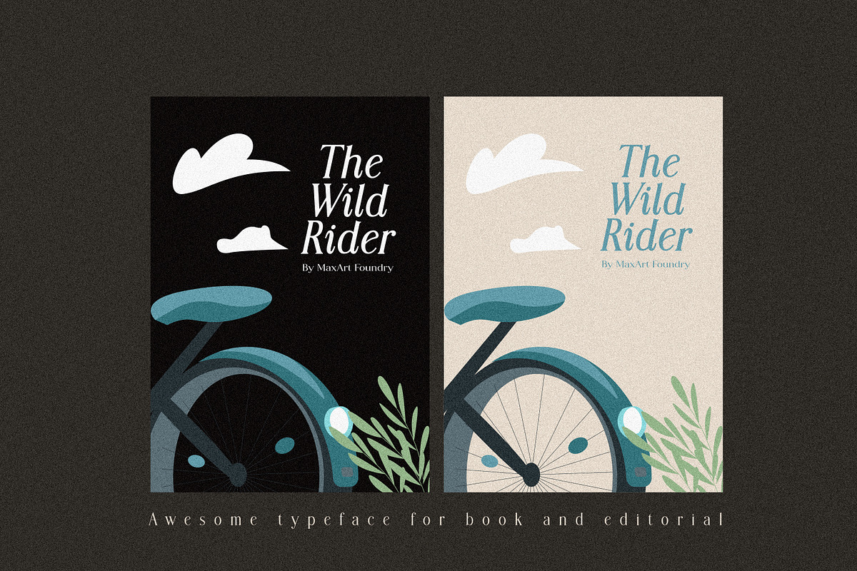 Modern Chic Refined – Elegant Serif, a Serif Font by MaxArt Foundry (Photo 8 of 20)