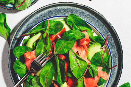 Salmon avocado salad, beet leaves, radicchio, tomatoes, lemon an, a Food & Drink Photo by 5PH
