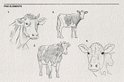 Sketch of a cow PNG, an Animal Illustration by LOKSKIH (Thumbnail 3 of 7)