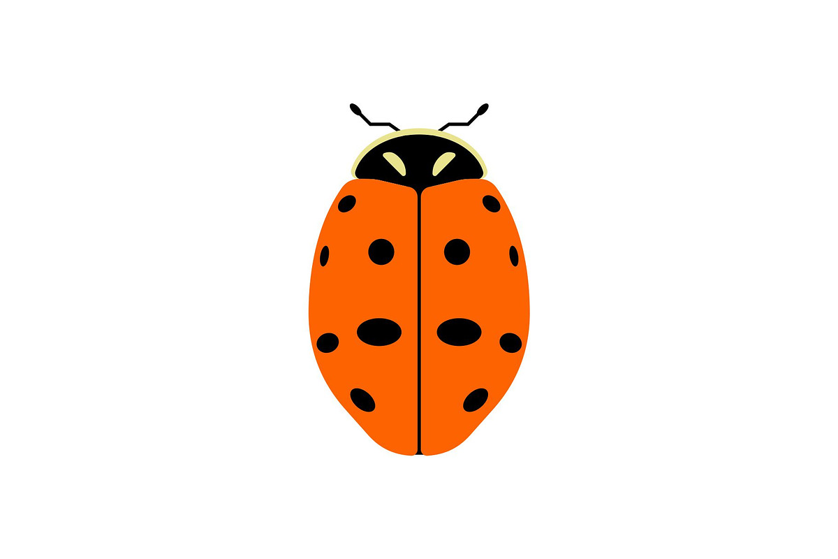 Seven Spot Ladybug Insect, a Solid Icon by Buqancreative (Photo 1 of 2)