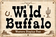 Wild Buffalo, a Serif Font by Wow Magic (Thumbnail 1 of 5)