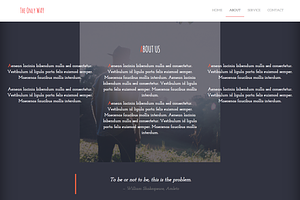 The Only Way - Portfolio Theme