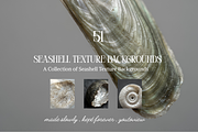 Seashell Texture Backgrounds, a Background Graphic by youtoview (Thumbnail 1 of 12)