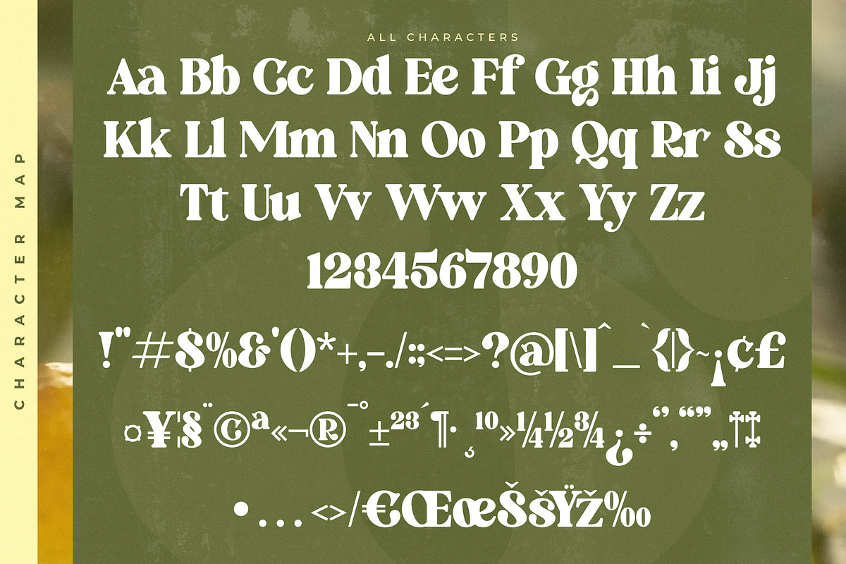 Forest Realm Modern Retro Serif, a Serif Font by timelesstype.co (Photo 18 of 20)