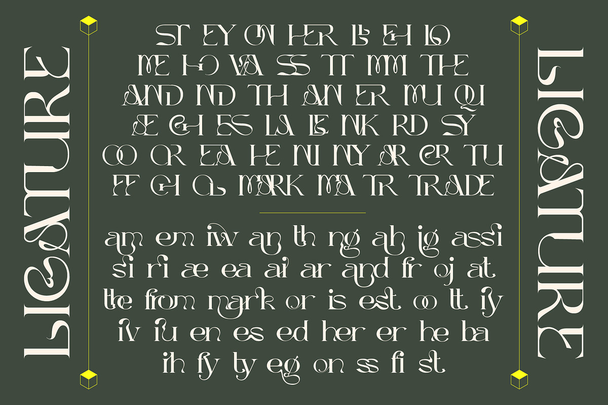 Dellucion, a Serif Font by Burntilldead (Photo 8 of 13)
