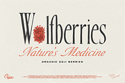 Merchande - Vintage Font Trio, a Font by Tom Chalky (Thumbnail 2 of 11)