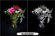 LAB Color V. 2 - Monochrome profiles, a Plug-in Add-On by Raztrend (Thumbnail 8 of 30)