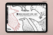 Raven Bird Procreate Brush Stamps, a Shape Add-On by MadliArt (Thumbnail 3 of 5)