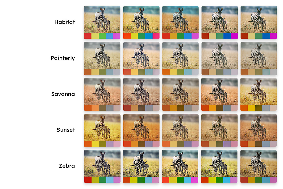 25 Safari Lightroom Presets LUTs, a Preset Add-On by SparkleStock (Photo 2 of 15)