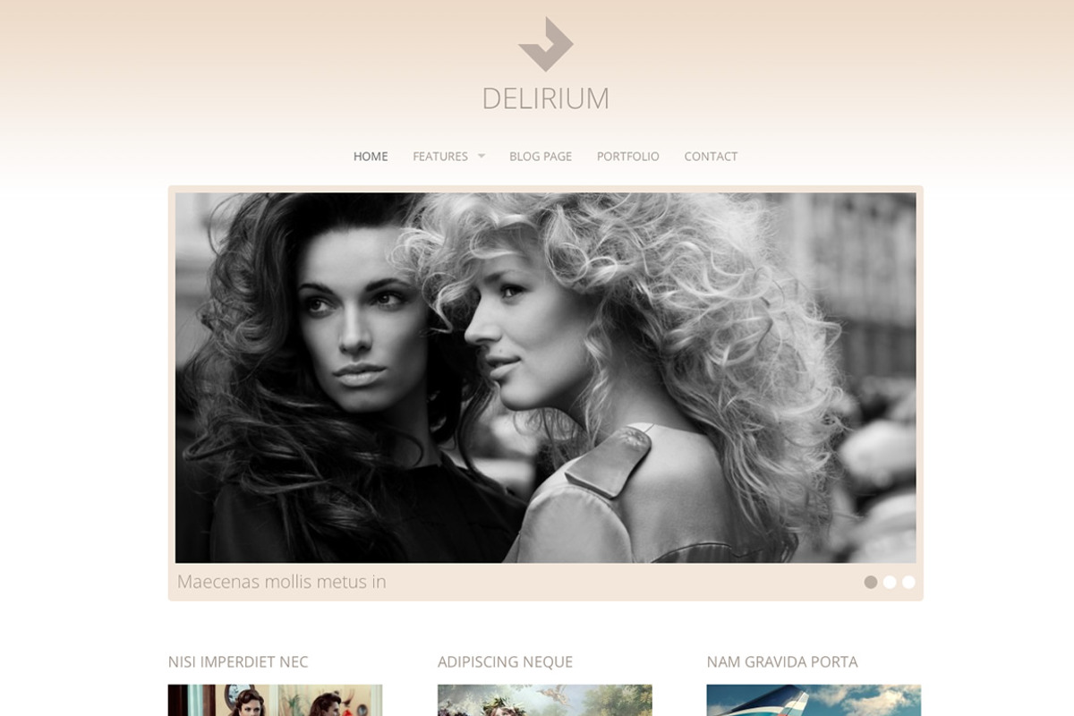 Delirium - Fashion Portfolio Theme, a WordPress Template by Viva Themes (Photo 1 of 2)
