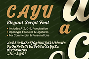 Cayu - Refined Modern Serif, a Serif Font by Astuti Studio (Thumbnail 2 of 23)
