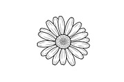 Daisy Flower Line Art Vector Bundle0, an Illustration by jahid234 (Thumbnail 10 of 51)