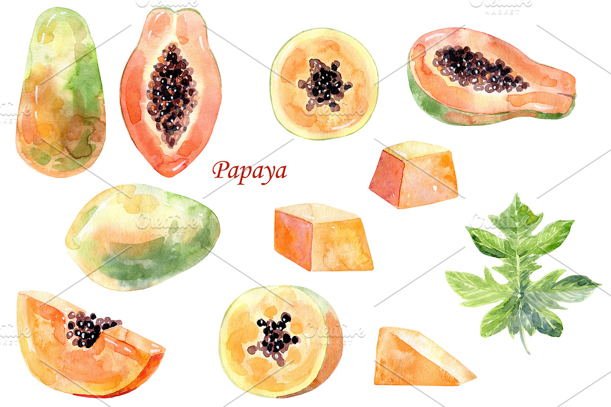Watercolor tropical fruits., an Illustration by TaPilipa (Photo 28 of 39)