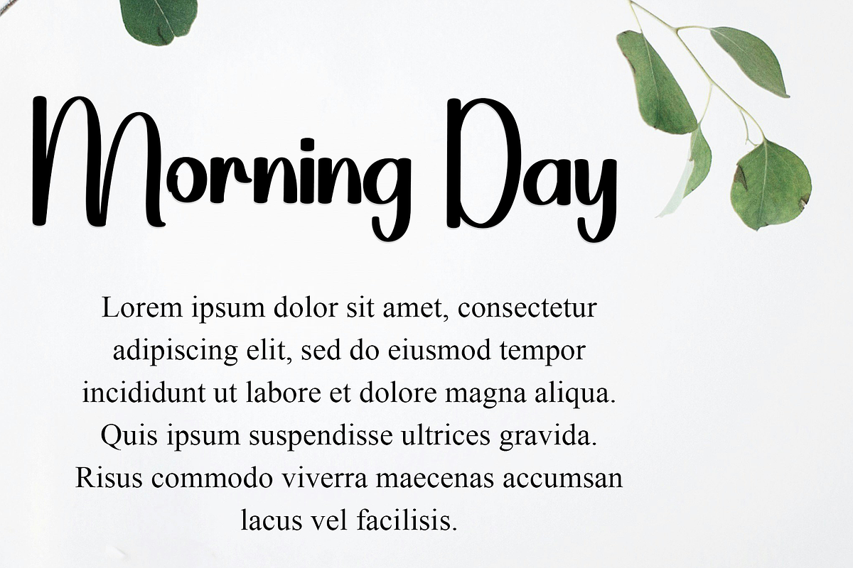 Official, a Serif Font by FreshTypeINK (Photo 7 of 8)