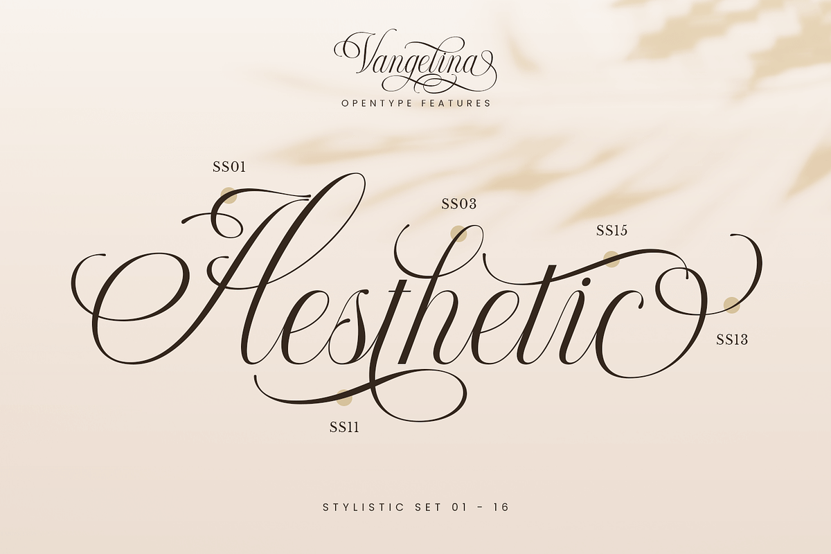 Vangelina – Modern Cursive Script, a Script Font by Pixesia Studio (Photo 14 of 15)
