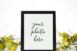 Eucalyptus Frame Mockup