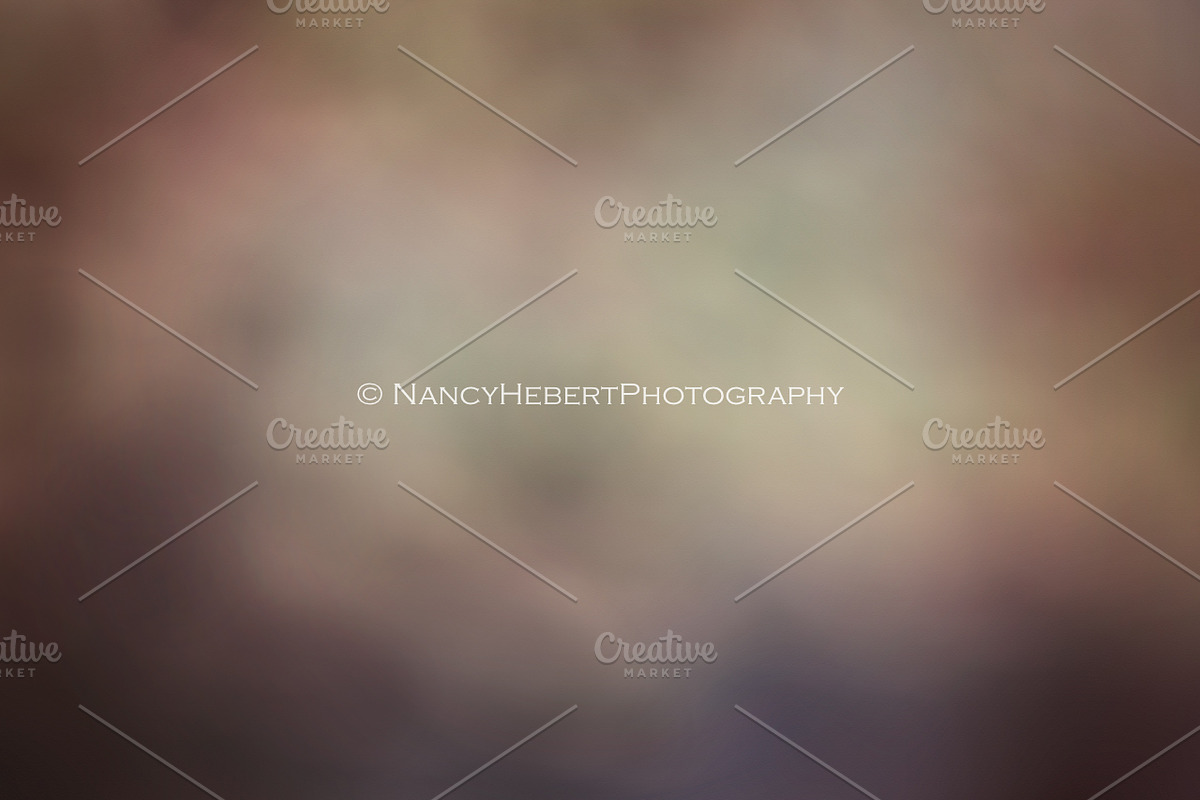 01 Fine Art Digital Texture/Overlay, a Texture Graphic by Nancy Hebert Photography