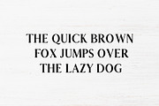 Carolin Duo 5 Font Family Pack, a Sans Serif Font by Creativetacos (Thumbnail 5 of 10)