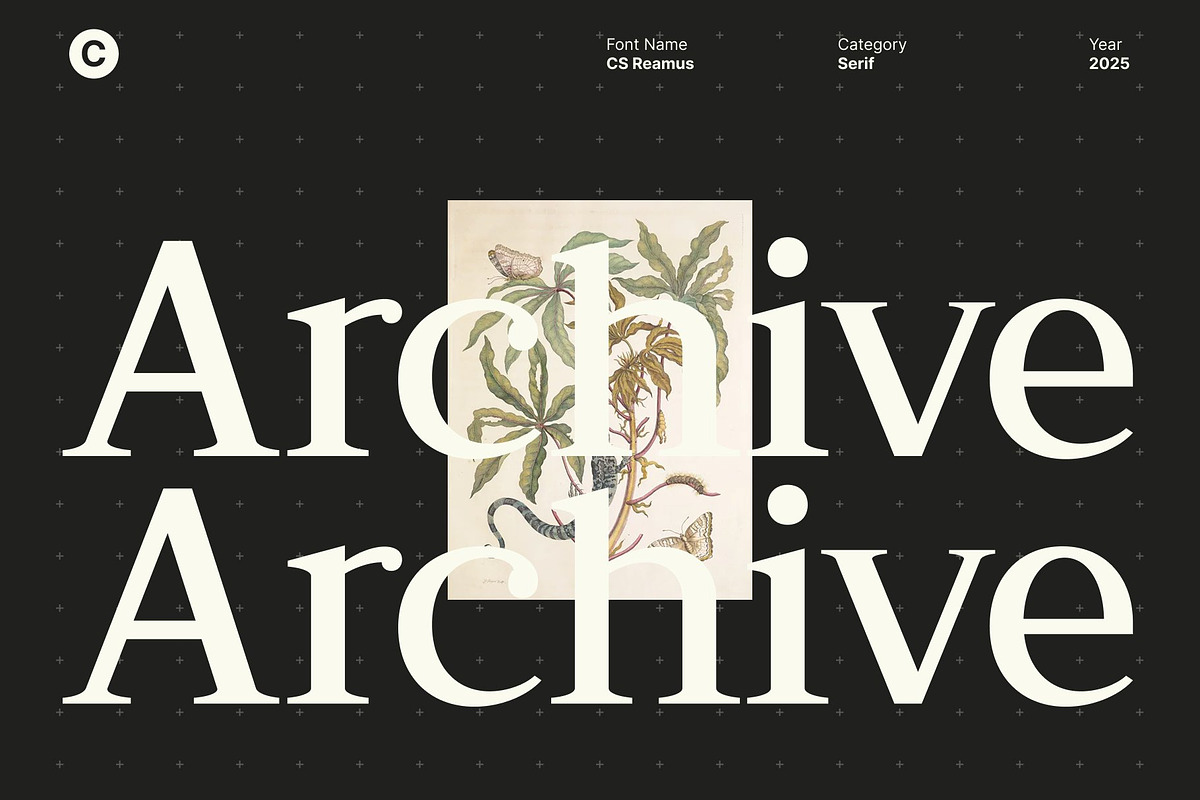 CS Reamus – Serif Typeface, a Serif Font by Craft Supply Co. (Photo 7 of 8)