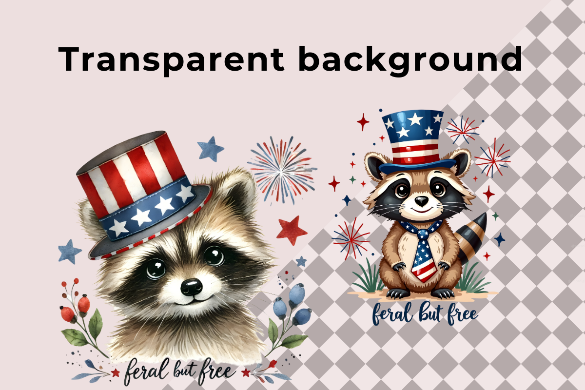 4th july PNG Bundle, an Illustration by Anca Digital Vibe (Photo 2 of 7)
