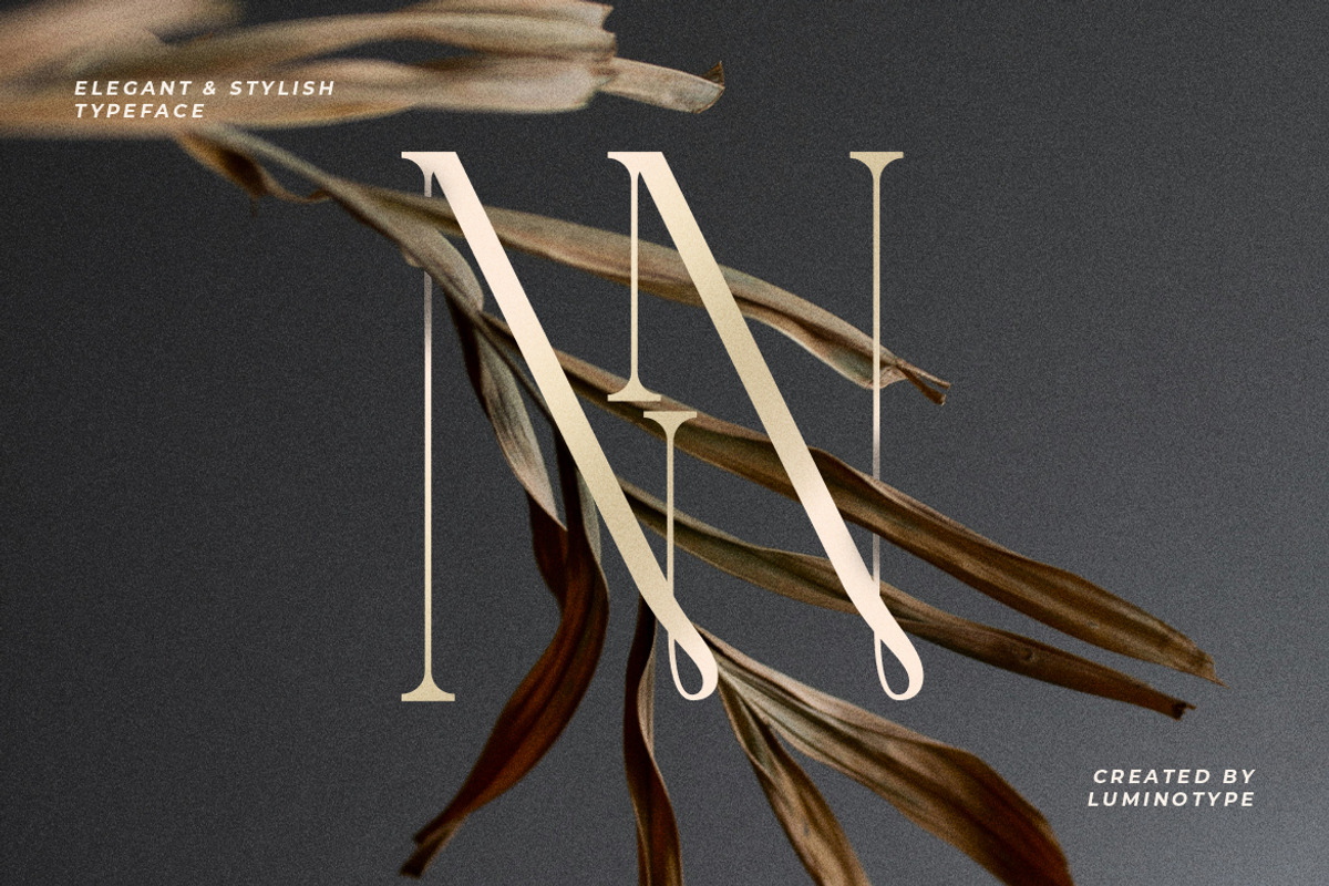 LT Verola – Rich Serif Ligature Type, a Serif Font by Luminotype (Photo 5 of 15)