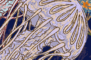 Jellyfish&Hydrangea Botanical Garden, a Pattern Graphic by NayaChu (Thumbnail 9 of 9)