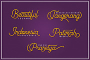 Nadhin Script & Sans, a Script Font by Ryan Prasetya (Thumbnail 3 of 5)