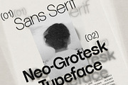 SLTF La Villa - Neo-Grotesk Typeface, a Sans Serif Font by SilverStag Type Foundry (Thumbnail 17 of 20)