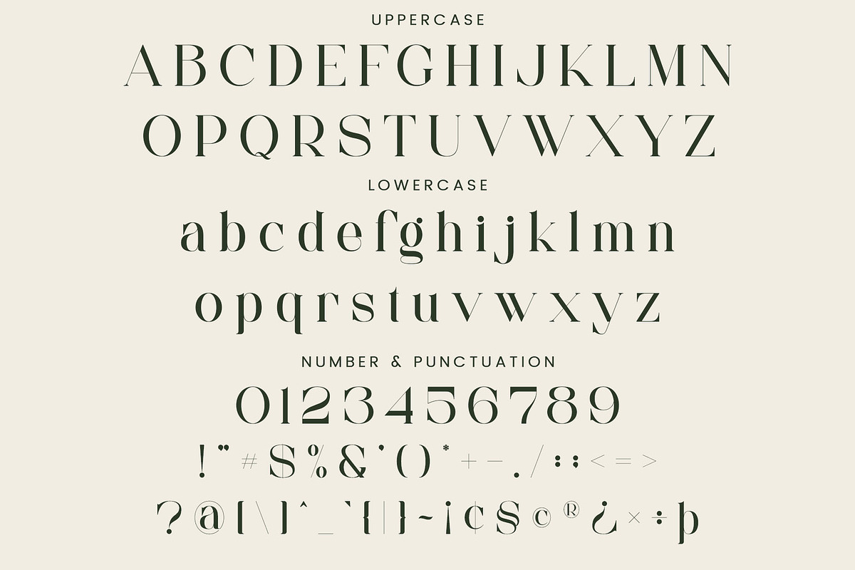 Faiten - Modern Serif Font, a Serif Font by Aqeel_Art (Photo 10 of 12)