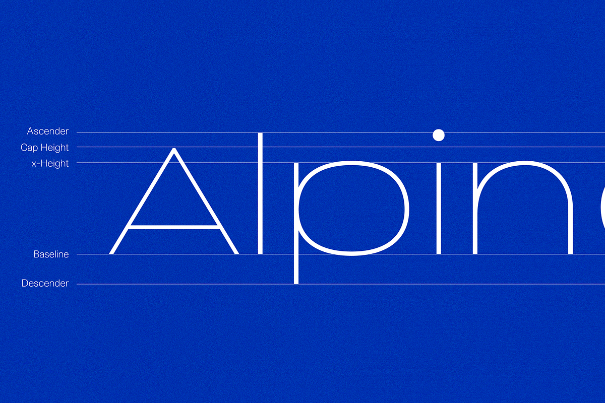 Sabrosa Family, a Sans Serif Font by JAM Type (Photo 12 of 13)