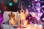 Confetti Overlay Effect In Photoshop, an Action Add-On by PhotoSpirit (Thumbnail 6 of 9)