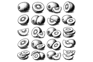 Kiwi Fruit Clipart Set, an Object Graphic by RT Studio
